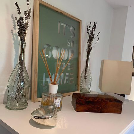 Apartmán Sauro 43 Pisa Exteriér fotografie