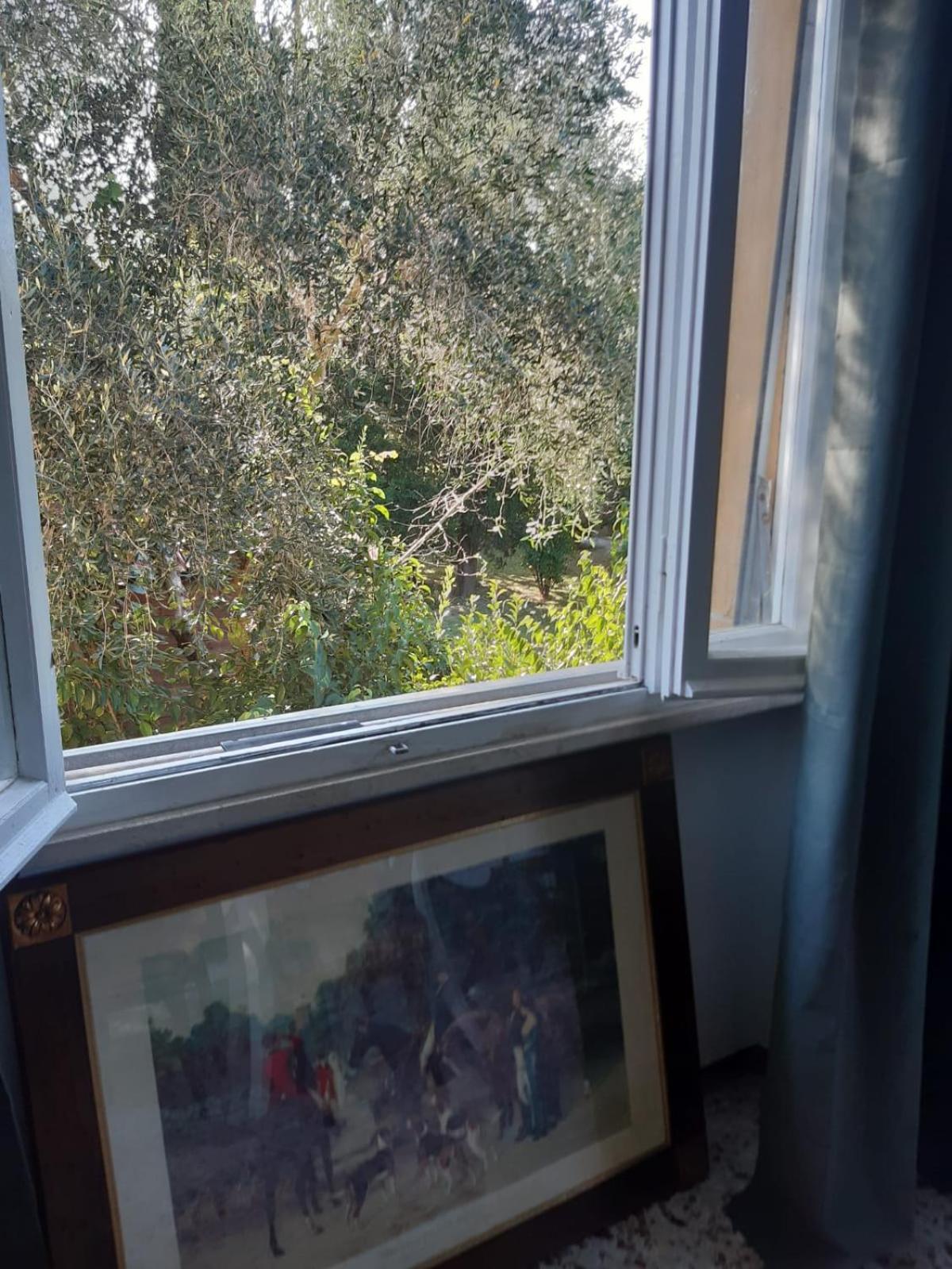 Apartmán Sauro 43 Pisa Exteriér fotografie